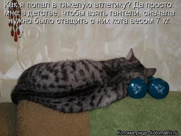 Котоматриця!)))) - Страница 10 226676_517626