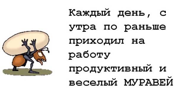 Афоризмы прикол женщин Афоризмы прикол женщин