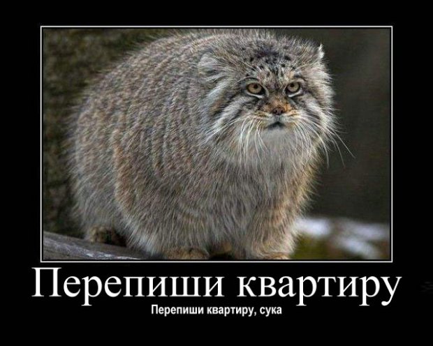 Пожелание на ночь близкому Пожелание на ночь близкому