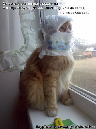 Котоматрица