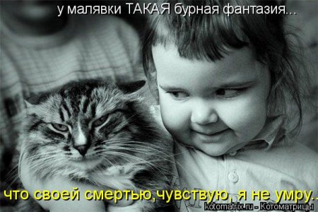 Котоматрица