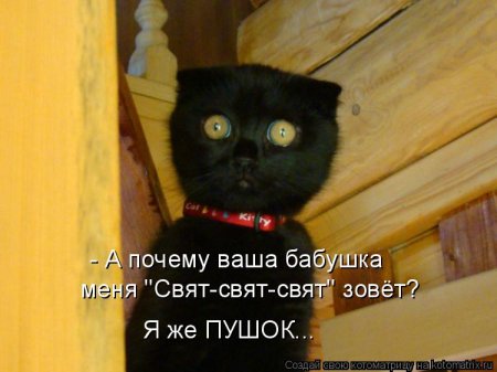 Котоматрица