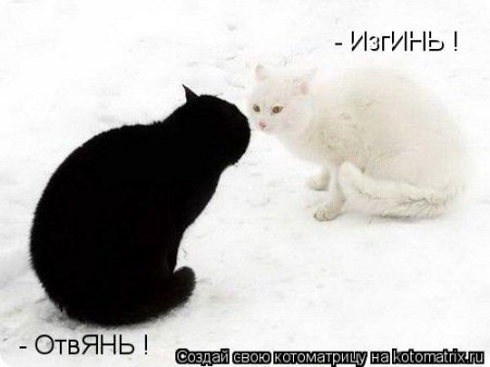 Котоматрица