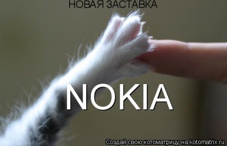 Котоматрица