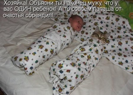 Котоматрица