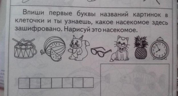 Прикольные картинки