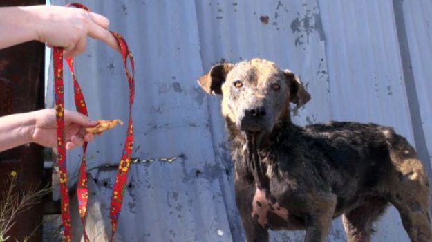 �������� ���������� ��������� ������