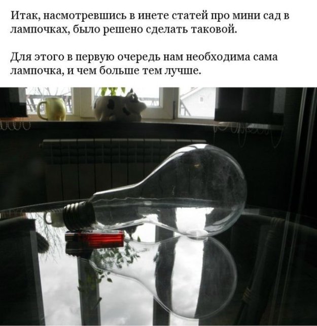 ������ ������� ������ ��������