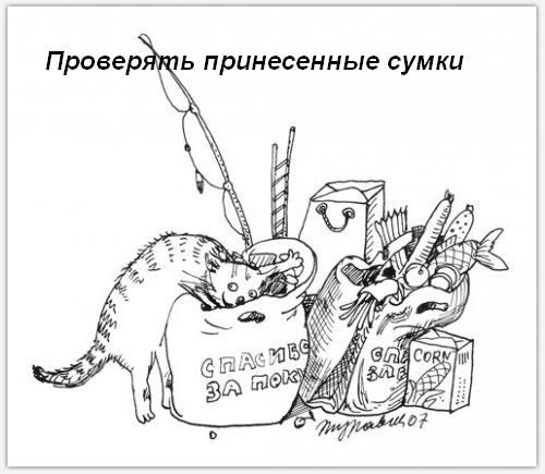 Котячі звички=)