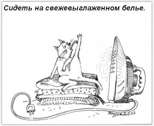 Котячі звички=)