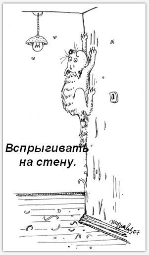 Котячі звички=)