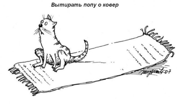 Котячі звички=)