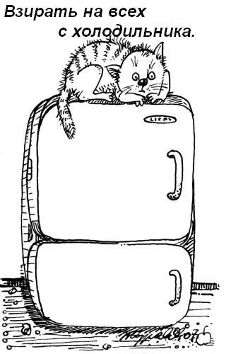 Котячі звички=)