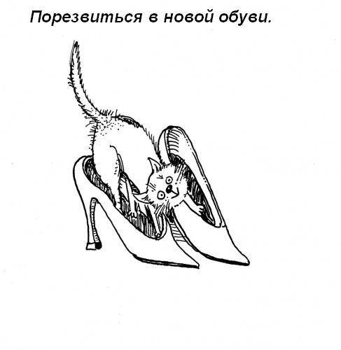 Котячі звички=)