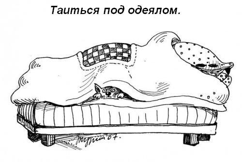 Котячі звички=)