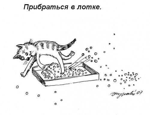 Котячі звички=)