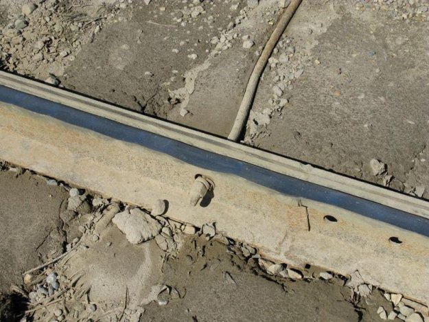 ������ ������ �������?