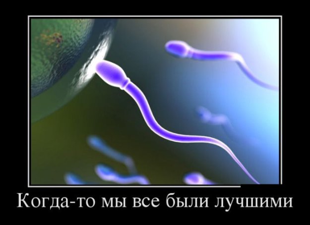 Картинка дня