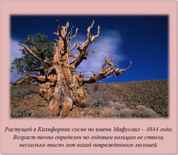 ����� ��� ���� �� �����