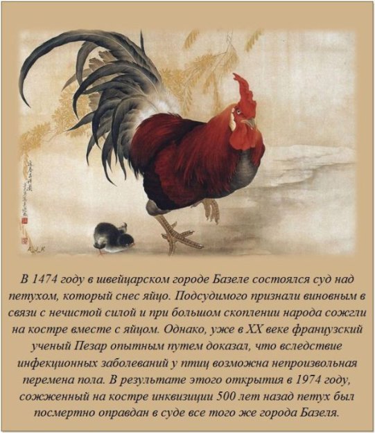 ����� ��� ���� �� �����