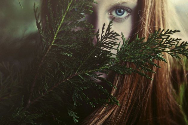 �������� Shelby Robinson