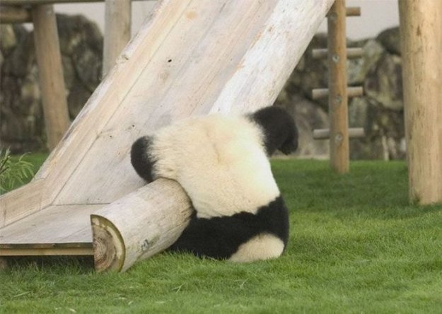 ������, ��� ������ ����������. ����� 10.