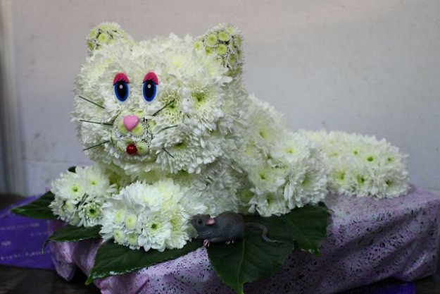 Фото зверушки из цветов