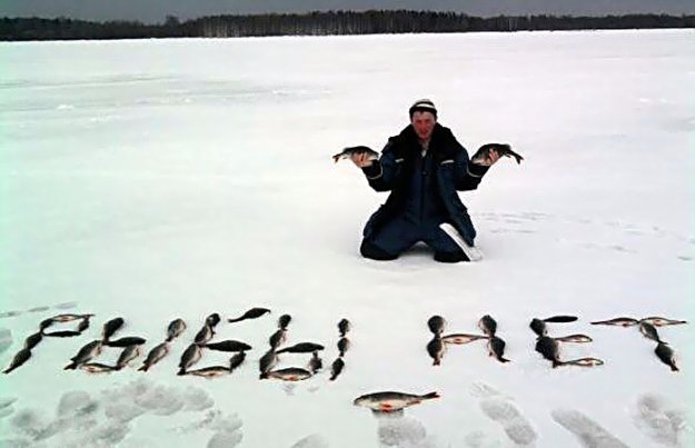Прикольно о рыбалке ))