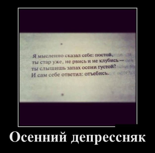 Картинка дня