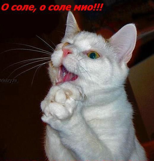 ���� �� ���� ����� ��������... :)