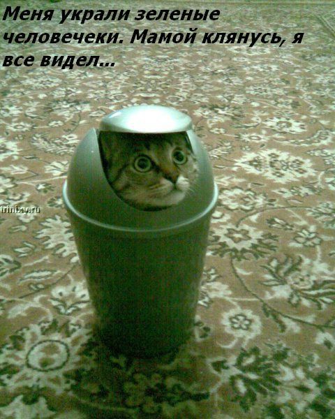 ���� �� ���� ����� ��������... :)