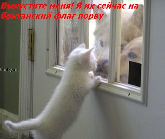 ���� �� ���� ����� ��������... :)