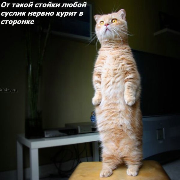 ���� �� ���� ����� ��������... :)