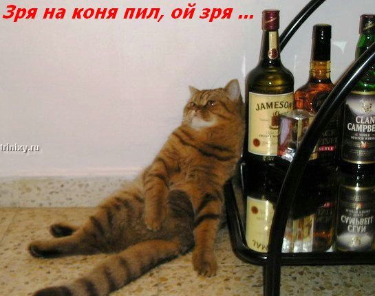 ���� �� ���� ����� ��������... :)