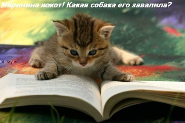 ���� �� ���� ����� ��������... :)