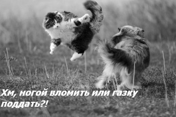 ���� �� ���� ����� ��������... :)