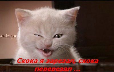 ���� �� ���� ����� ��������... :)