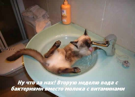 ���� �� ���� ����� ��������... :)