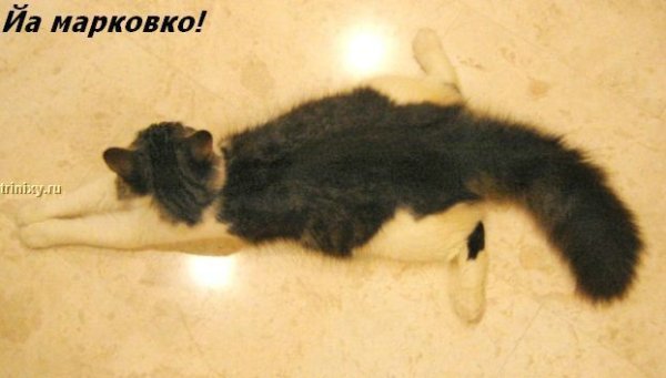 ���� �� ���� ����� ��������... :)