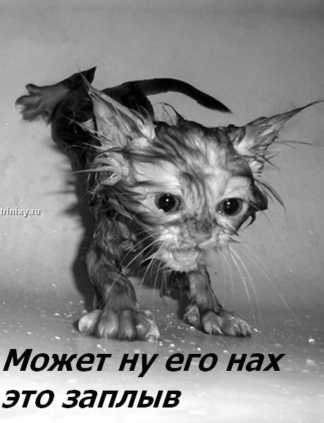 ���� �� ���� ����� ��������... :)