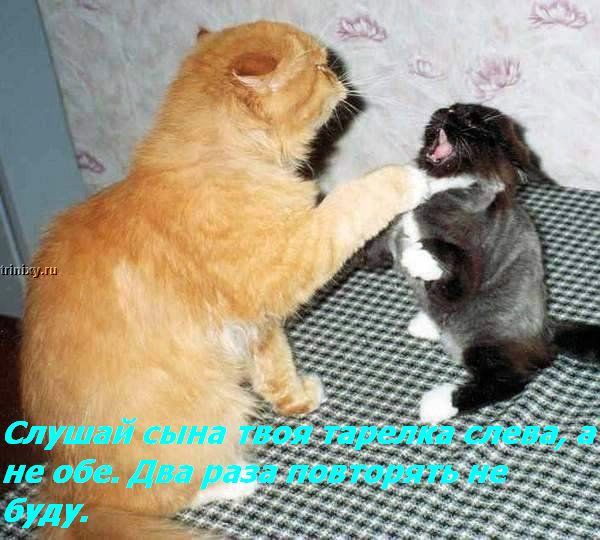 ���� �� ���� ����� ��������... :)