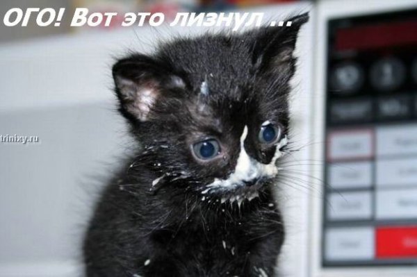 ���� �� ���� ����� ��������... :)