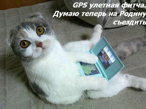���� �� ���� ����� ��������... :)
