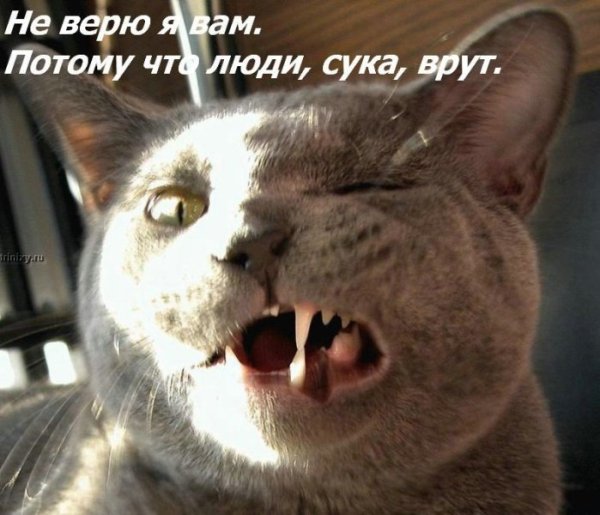 ���� �� ���� ����� ��������... :)
