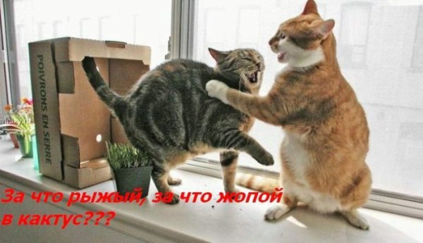 ���� �� ���� ����� ��������... :)