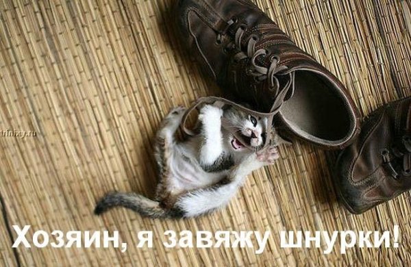 ���� �� ���� ����� ��������... :)