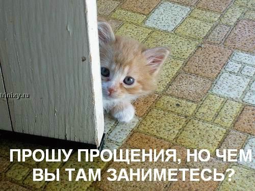 ���� �� ���� ����� ��������... :)