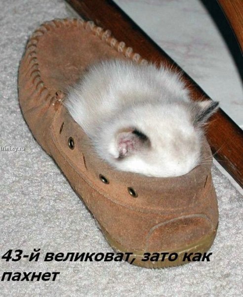 ���� �� ���� ����� ��������... :)