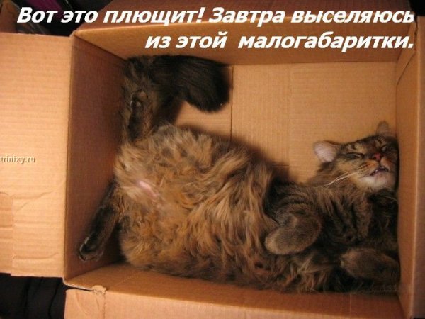 ���� �� ���� ����� ��������... :)
