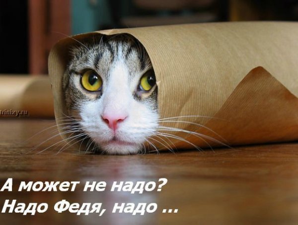 ���� �� ���� ����� ��������... :)